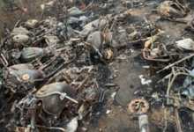 image 2024 01 29 102347061