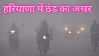 image 2024 01 30 100446507