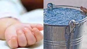 image 2024 02 05 103637253