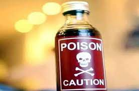 image 2024 02 08 112758487