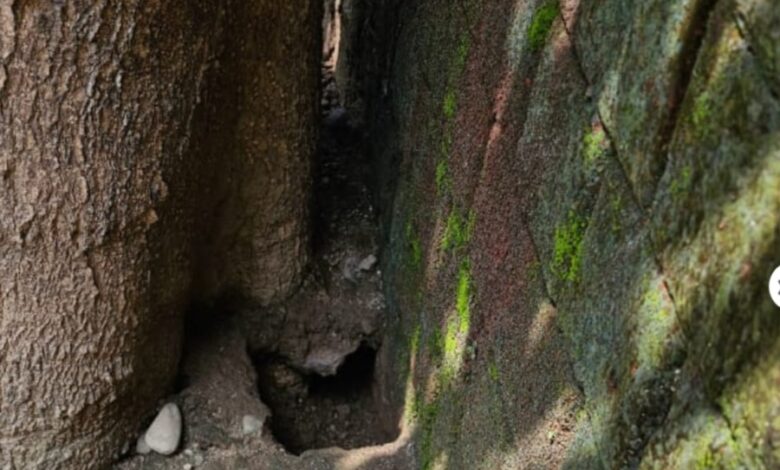 Screenshot 20240925 203608 Chrome